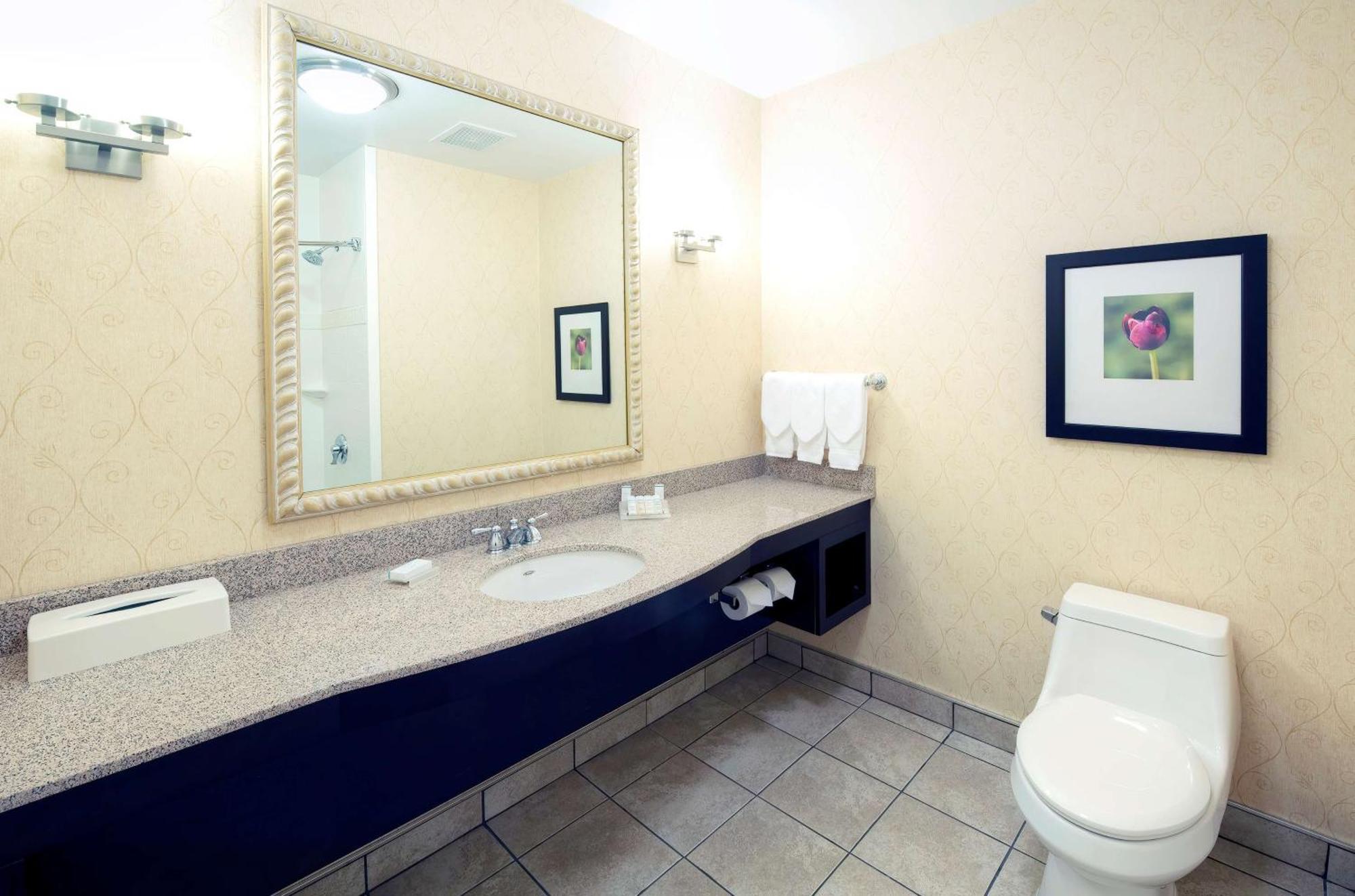 Hilton Garden Inn Ottawa Airport Exterior foto